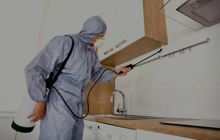 Stanford pest managment
